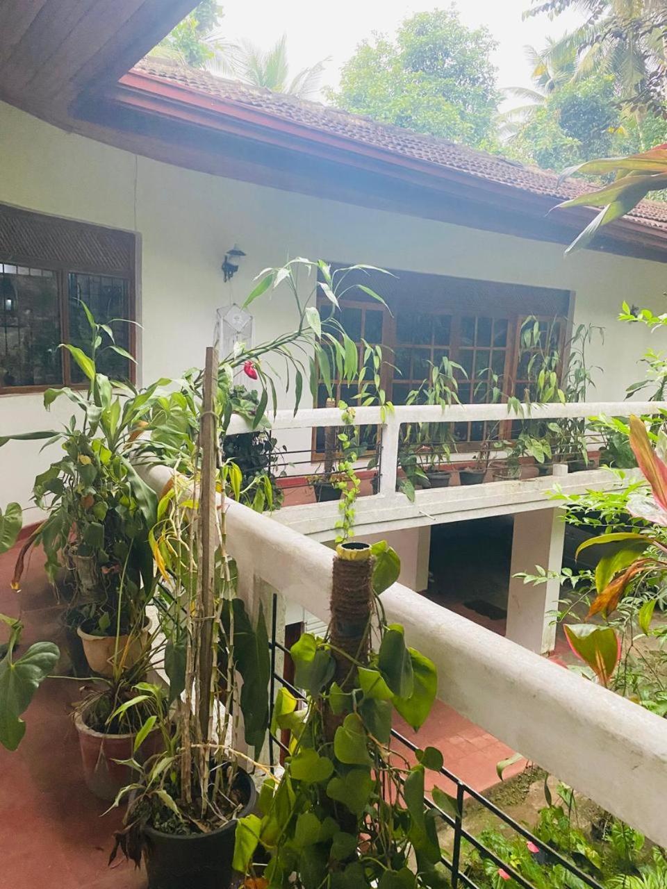 Ahana Homestay Kandy Exterior foto